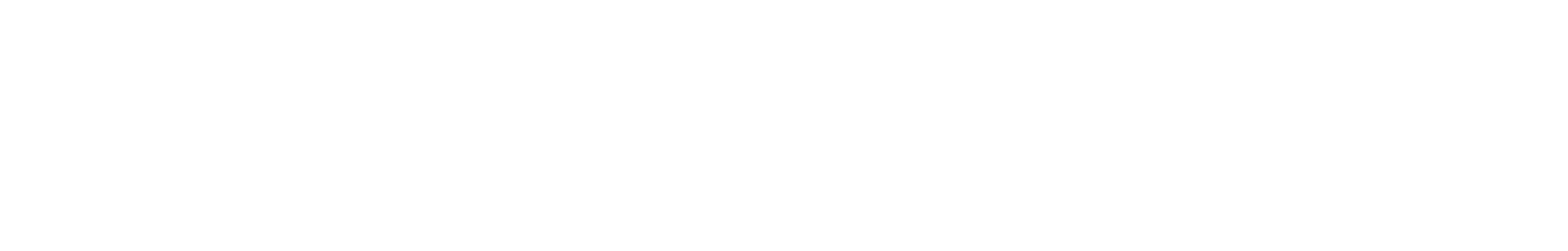 MSP COSMOS Light Logo